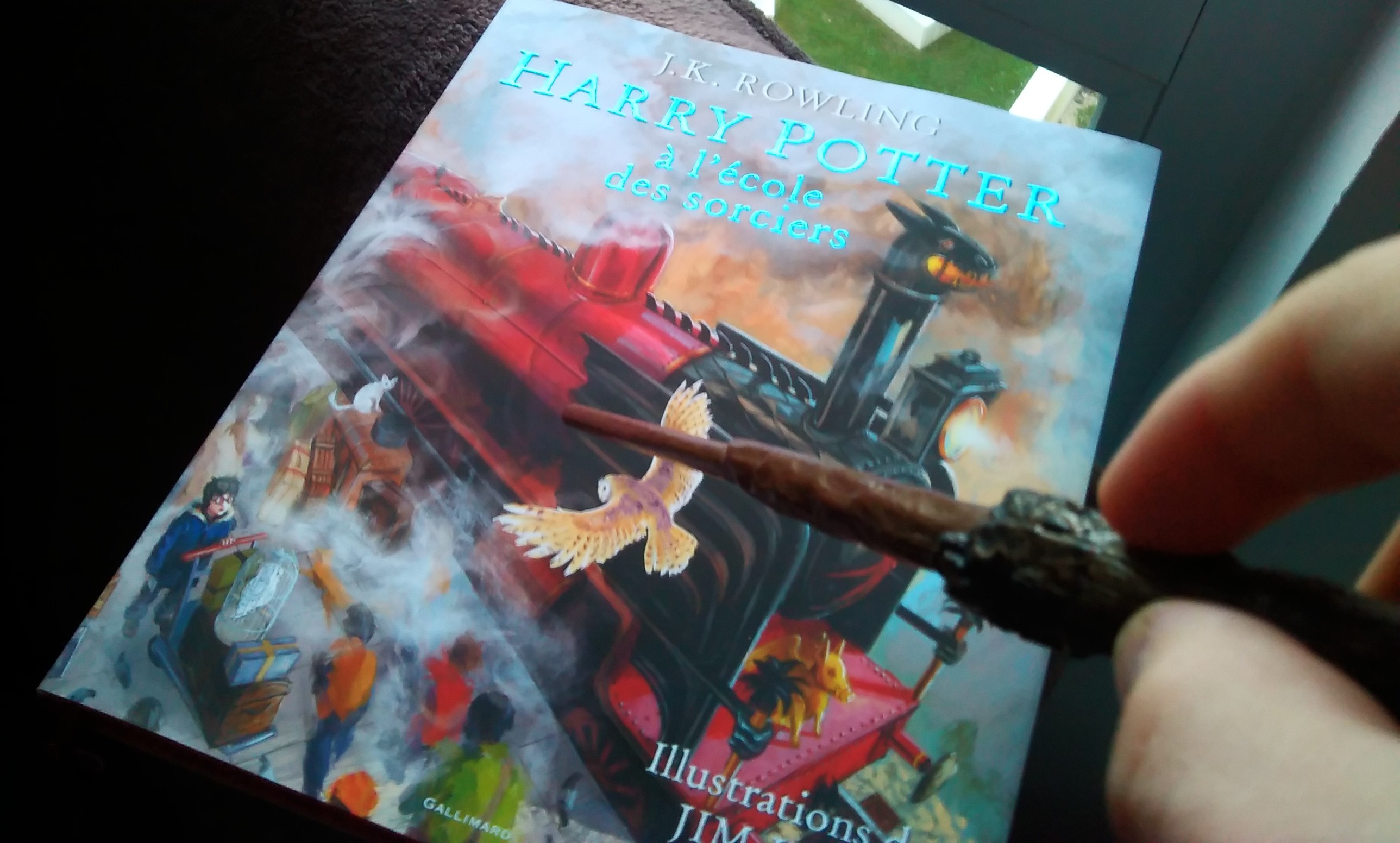 Livres illustrés Harry Potter à l'école des sorciers, Albums