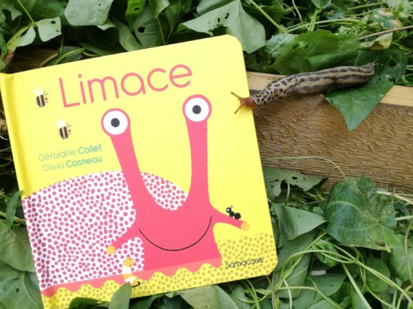 LIMACE, Géraldine Collet & Olivia Cosneau, éditions Sarbacane