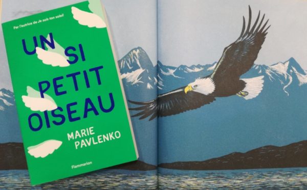 UN SI PETIT OISEAU, Marie Pavlenko, éditions Flammarion