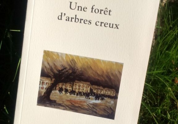 UNE FORET D’ARBRES CREUX, Antoine Choplin, éditions La Fosse aux ours