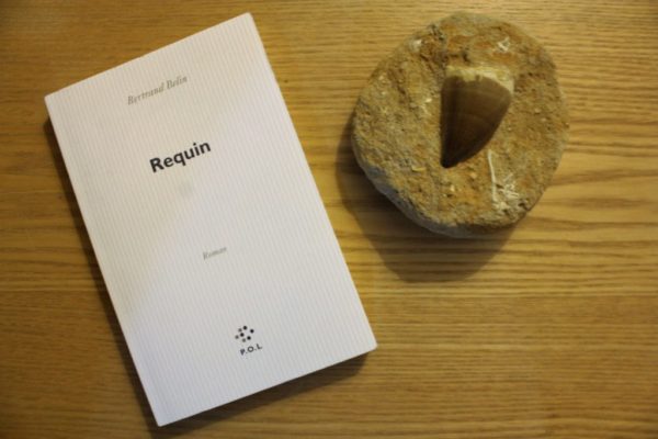 REQUIN, Bertrand Belin, éditions P.O.L.