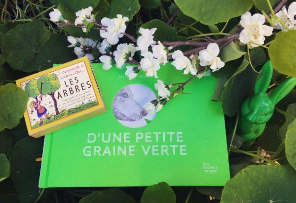 D’UNE PETITE GRAINE VERTE, Mathias Friman, éditions Les Fourmis rouges