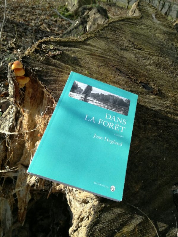 DANS LA FORET, Jean Hegland, éditions Gallmeister