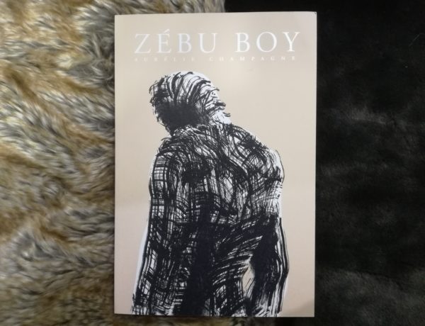 ZEBU BOY, Aurélie Champagne, éditions Monsieur Toussaint Louverture