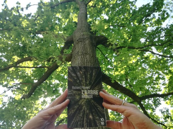 L’ARBRE MONDE de Richard Powers, éditions 10/18