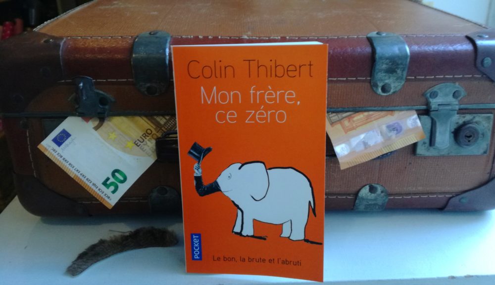 MON FRÈRE, CE ZÉRO, Colin Thibert, éditions Pocket
