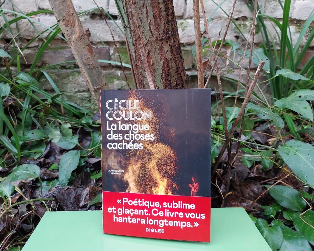 La Langue des choses cachées, Cécile Coulon, éditions de L’Iconoclaste