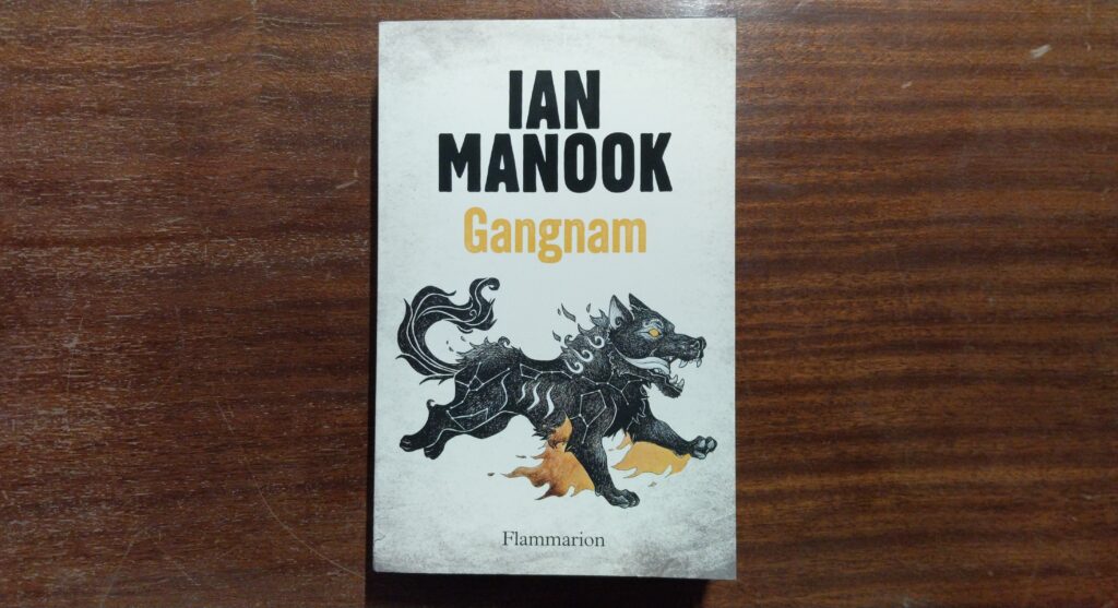 Gangnam, Ian Manook, éditions Flammarion